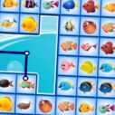Fish Connections 4 fish connections